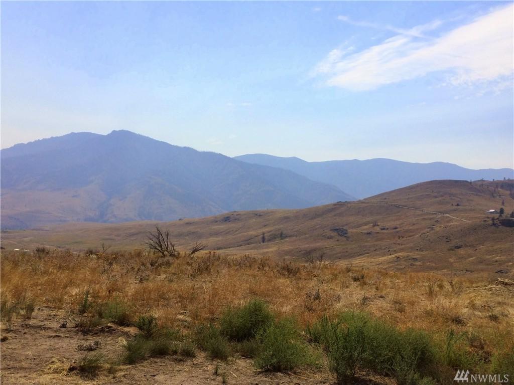 0-Lot 59 Methow River Ranch- Bill Shaw Rd - Photo 1