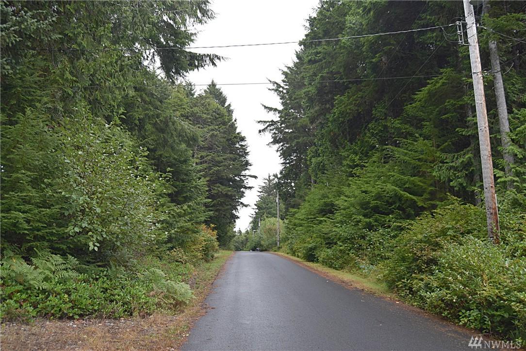 38 Robin Lane - Photo 1