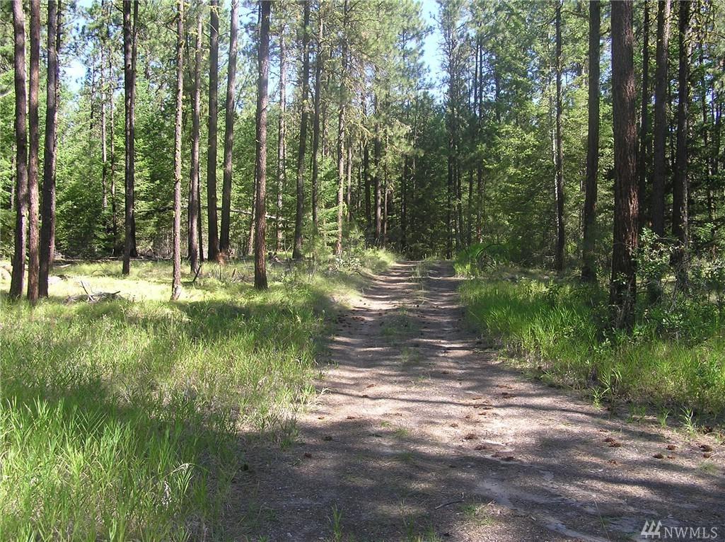 620 Squirrel Rd - Photo 1