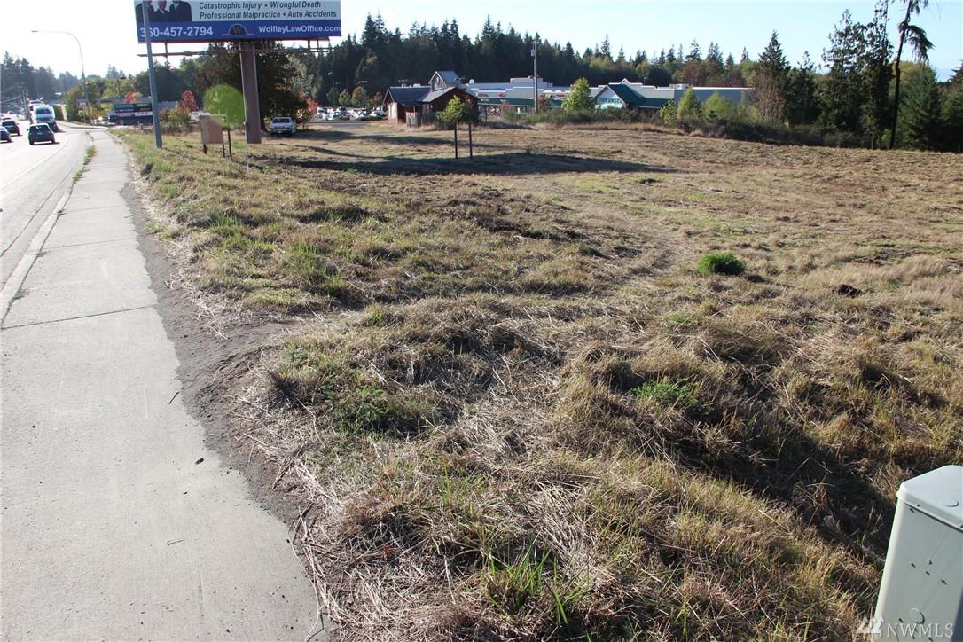 2817 Highway 101 - Photo 1