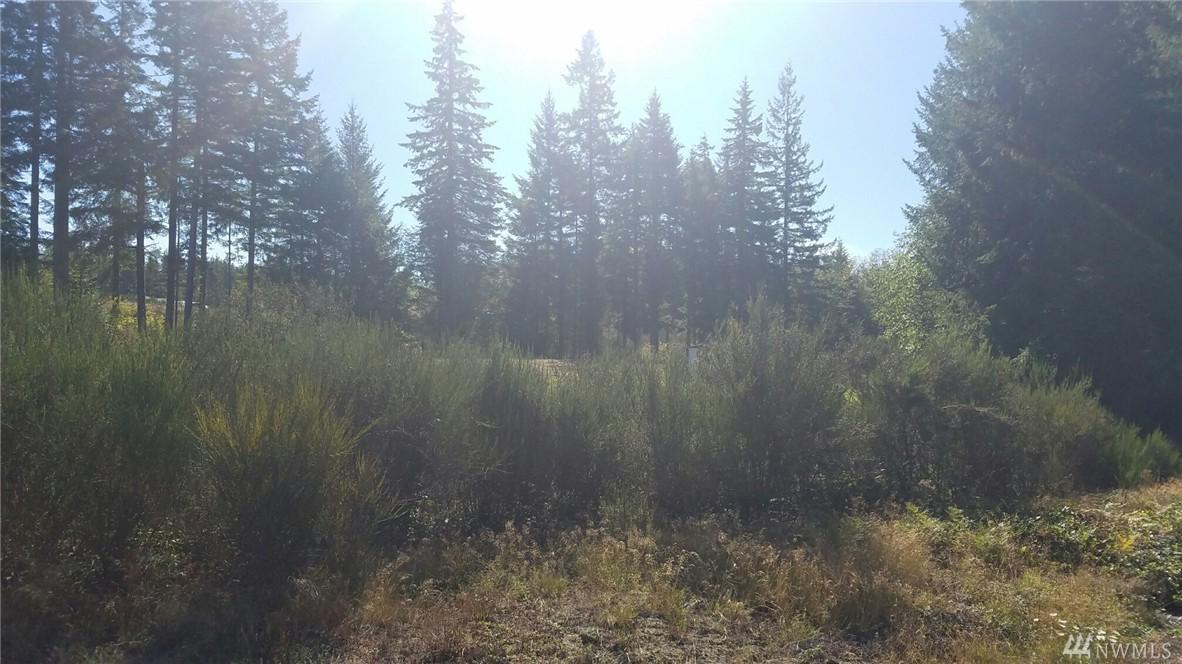 0 Lynch Rd - Photo 1