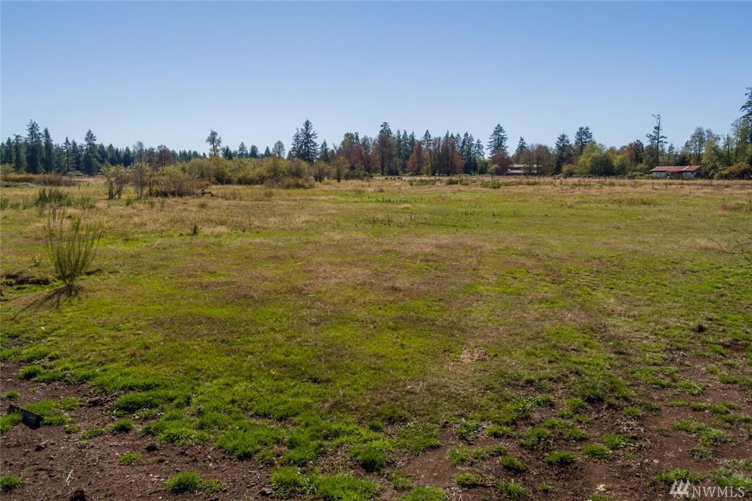 130 Doggone Lane - Photo 1