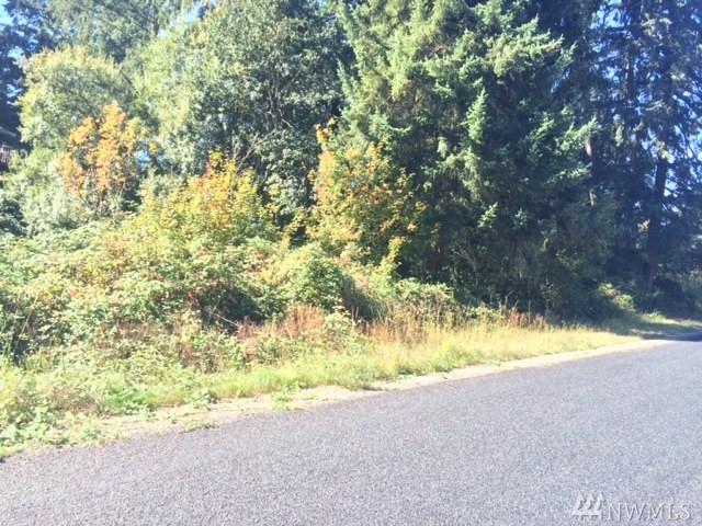 0 142nd St - Photo 1