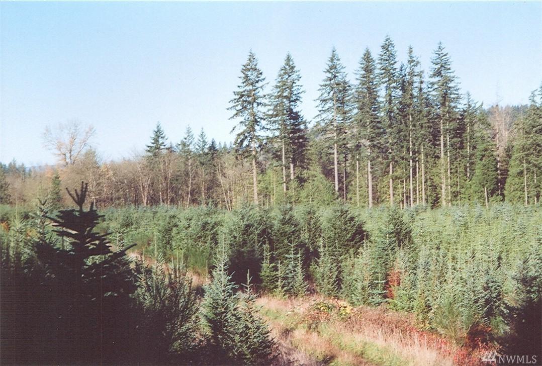 0-xx2 Salkum Rd - Photo 1