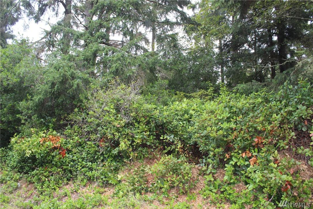 516 Quinault Ave - Photo 1