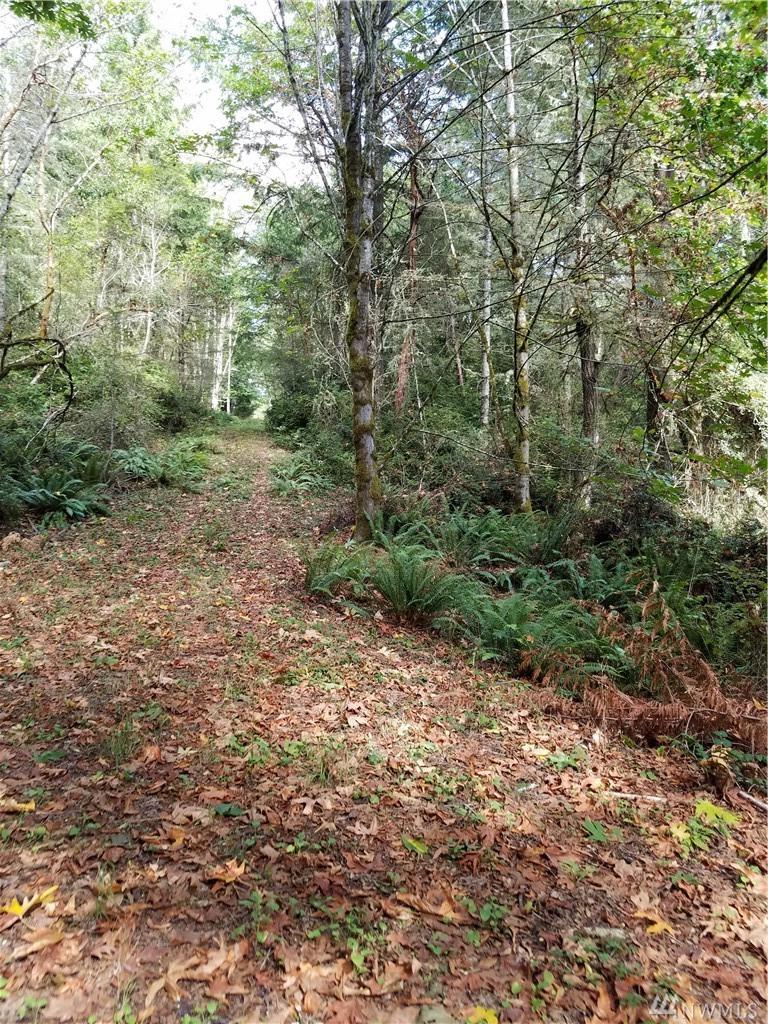0 Sand Dollar Rd - Photo 1