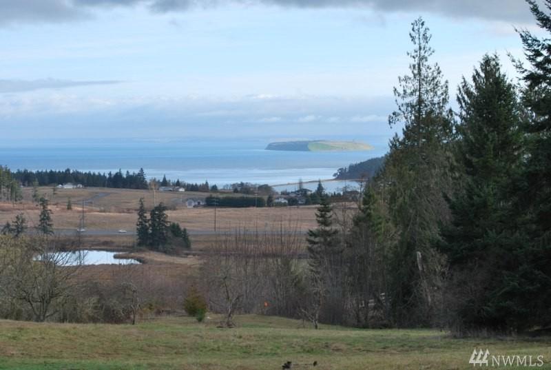 586 Simdars Rd - Photo 1