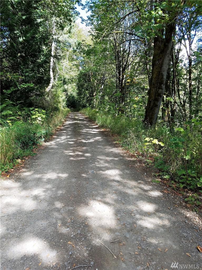 0 Sand Dollar Rd - Photo 1