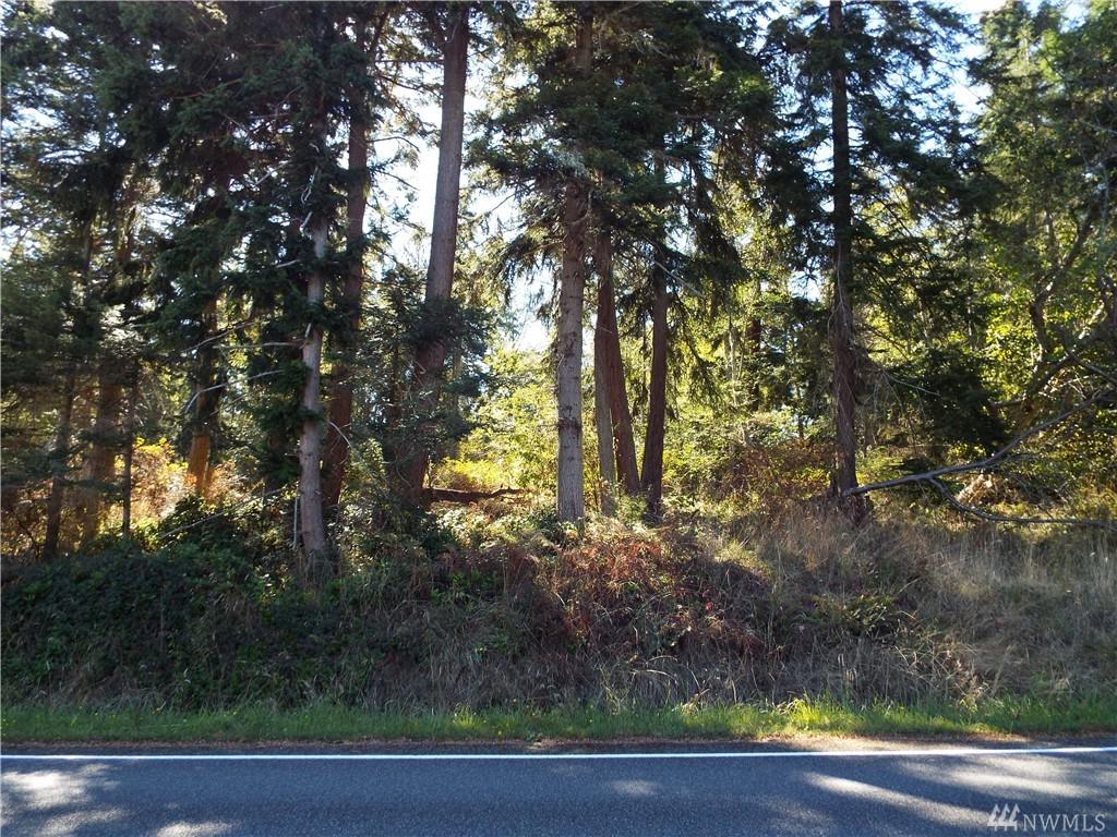 0-XXXX North Bluff Rd - Photo 1