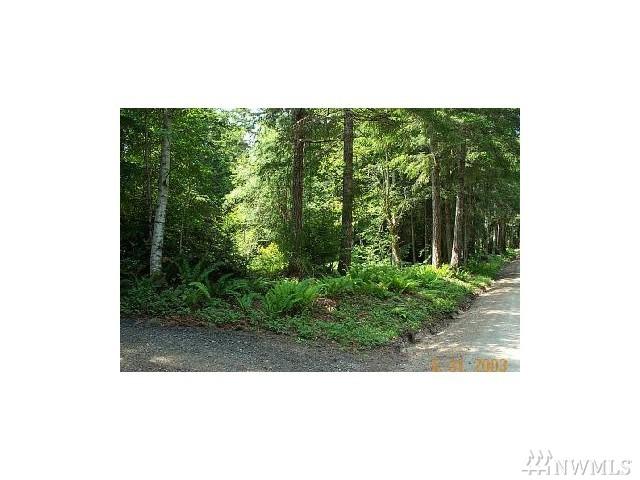 115 Ballow Rd - Photo 1