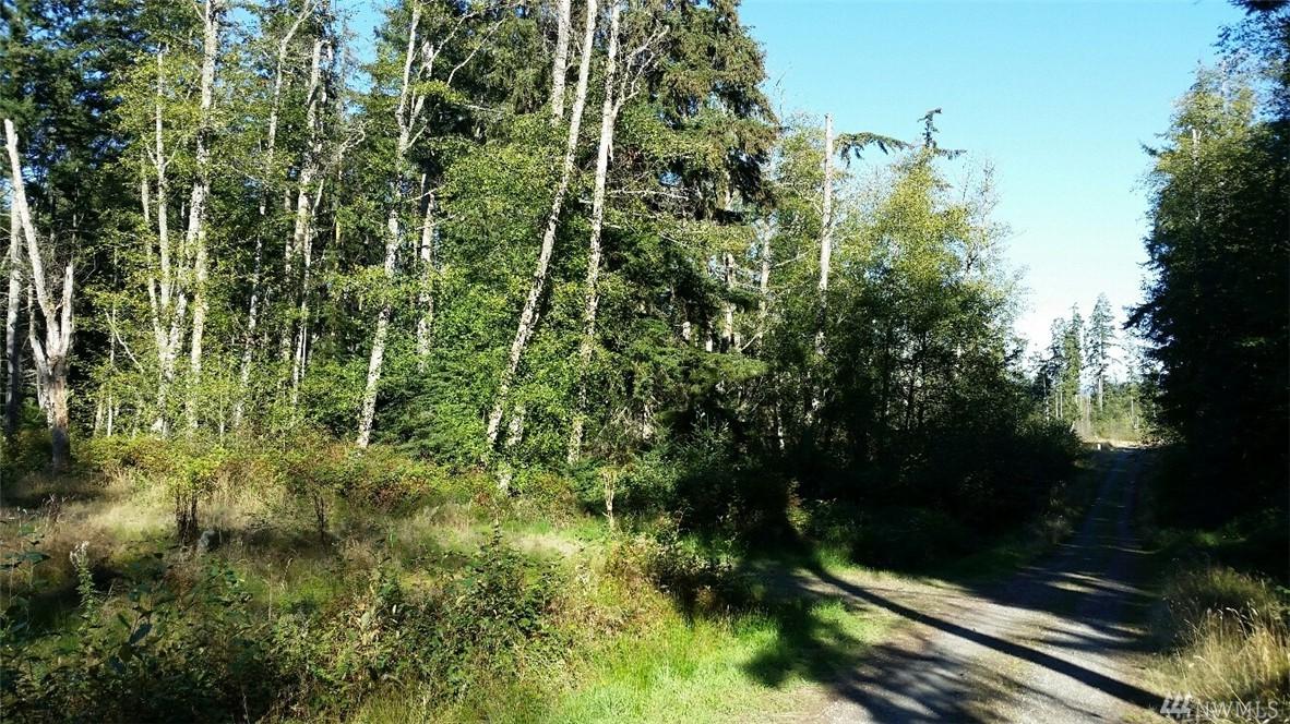 0-Lot B Hwy 525 & Little Valley Lane - Photo 1