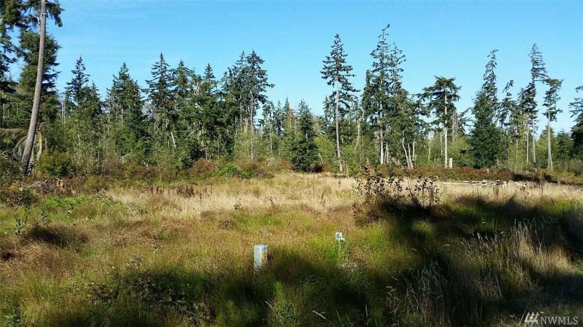 0-Lot 3 Little Valley Lane - Photo 1