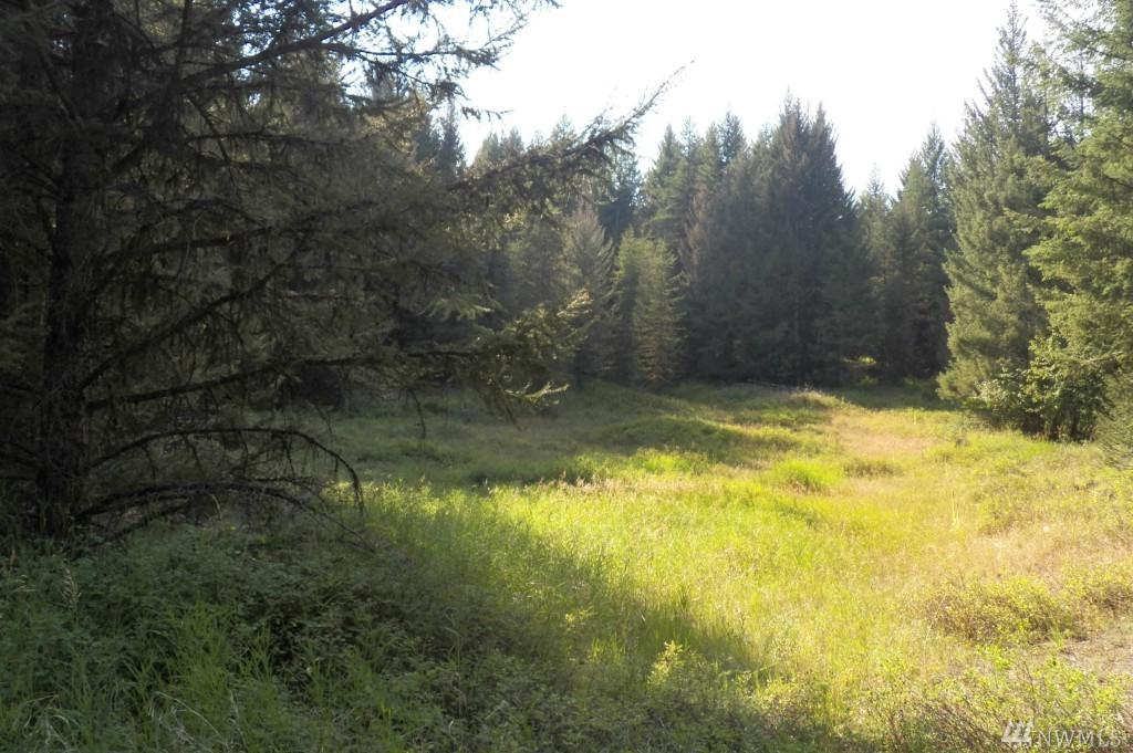 0-tbd Rebel Rd - Photo 1