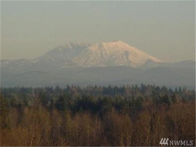 110 Volcano Lane - Photo 1
