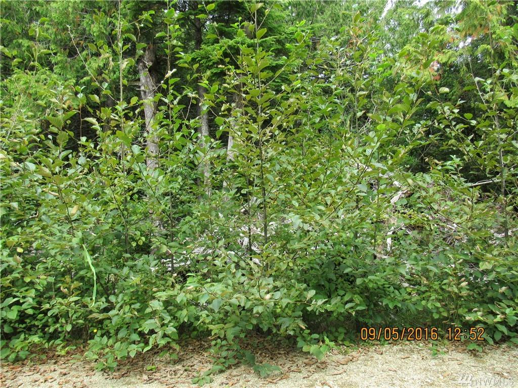 0 Block 7 Lots 9 - 15 - Photo 1