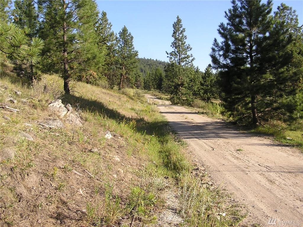 1111 Tbd Bench Creek Rd - Photo 1