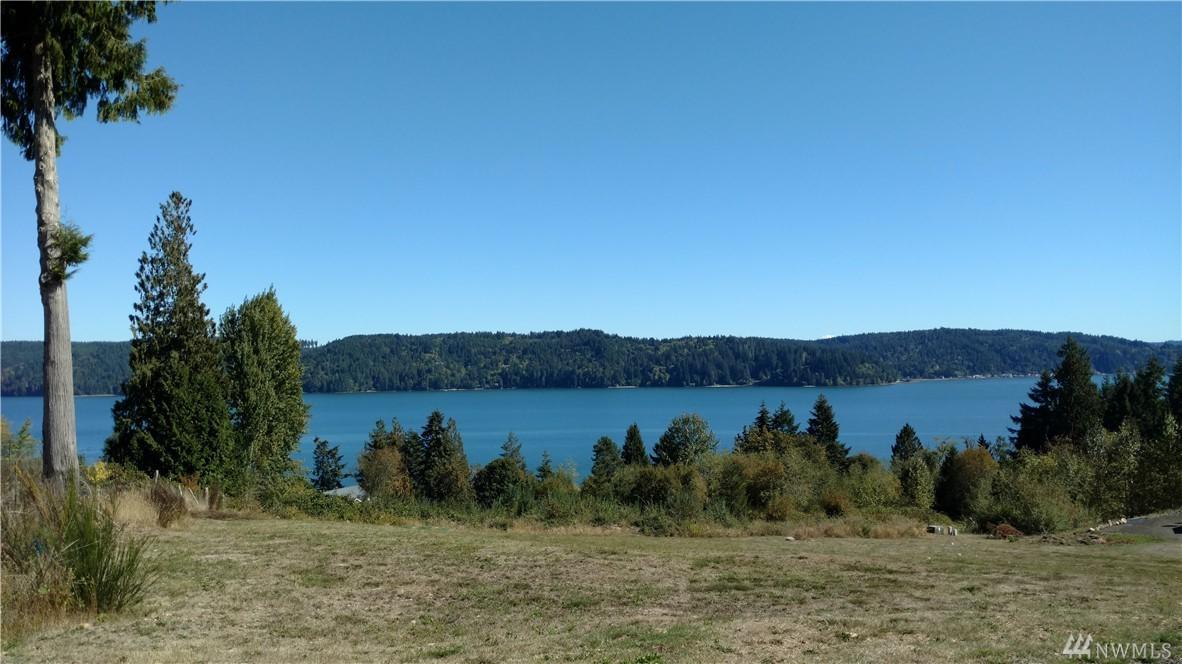 0 Trout Pond Dr - Photo 1