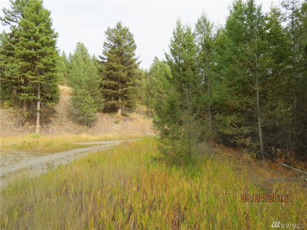 3 Trap Line Loop Rd - Photo 1
