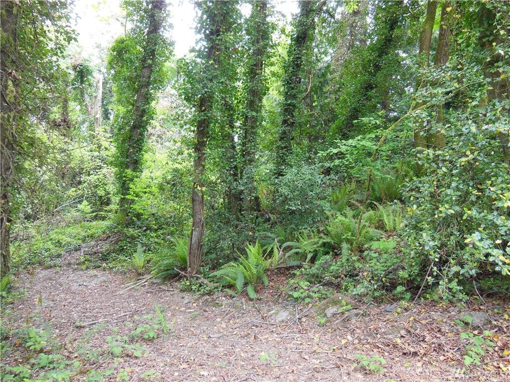 0-XX Bowman Ave - Photo 1