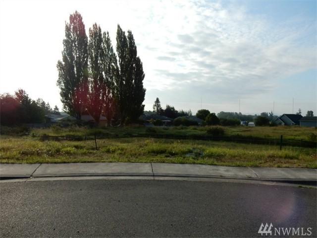 5641 Ariel Ct - Photo 1