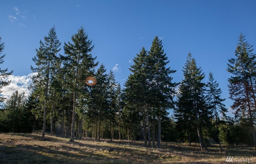 94 Shauna Place - Photo 1