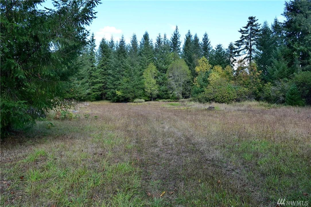 20104 Neat Rd - Photo 1