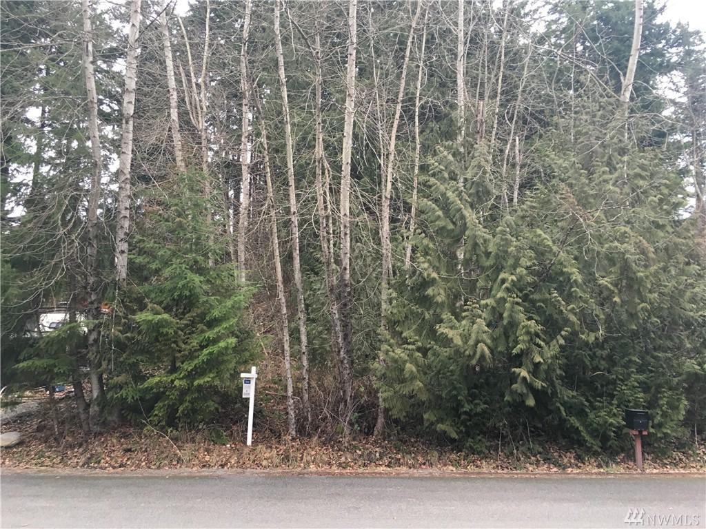 8204 181st Ave - Photo 1