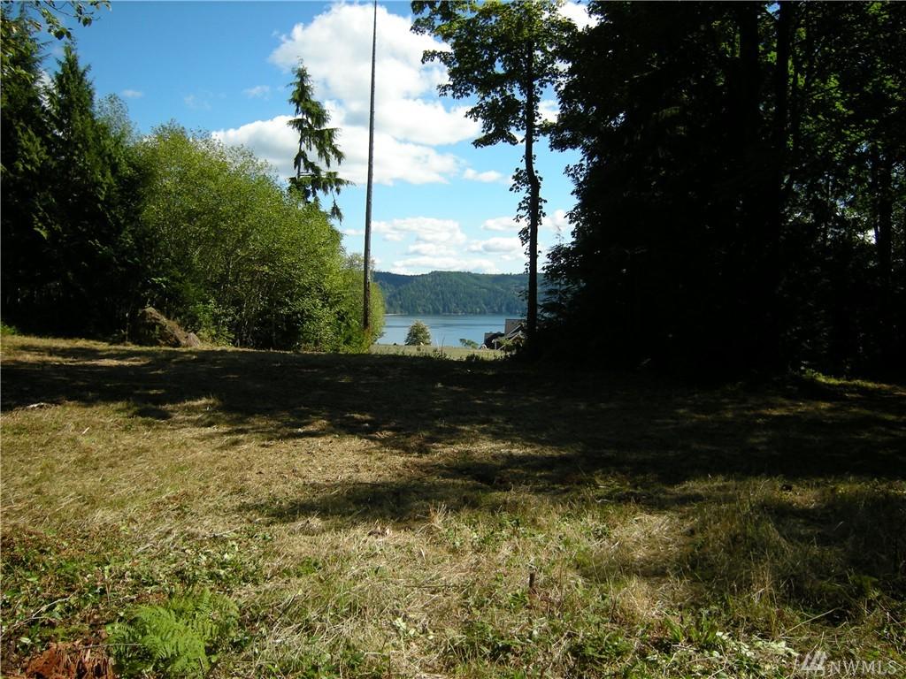0 Lot 11 Luci's Wy - Photo 1