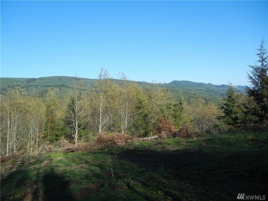 753 Dubois Rd - Photo 1