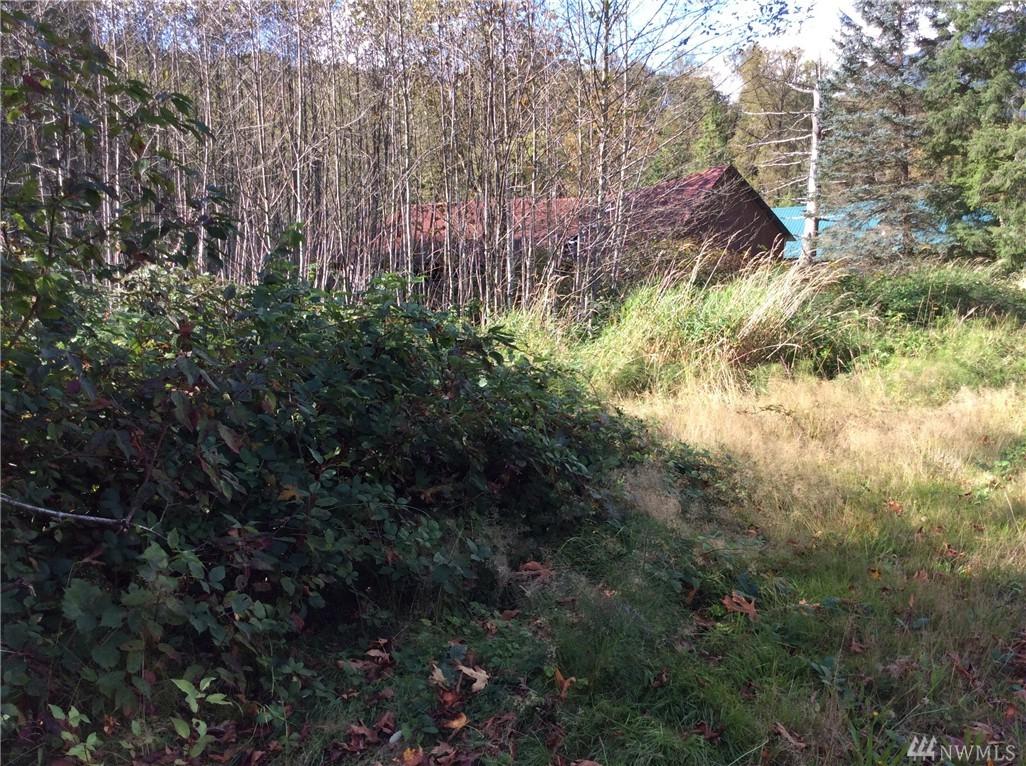 71675 Old Cascade Hwy - Photo 1