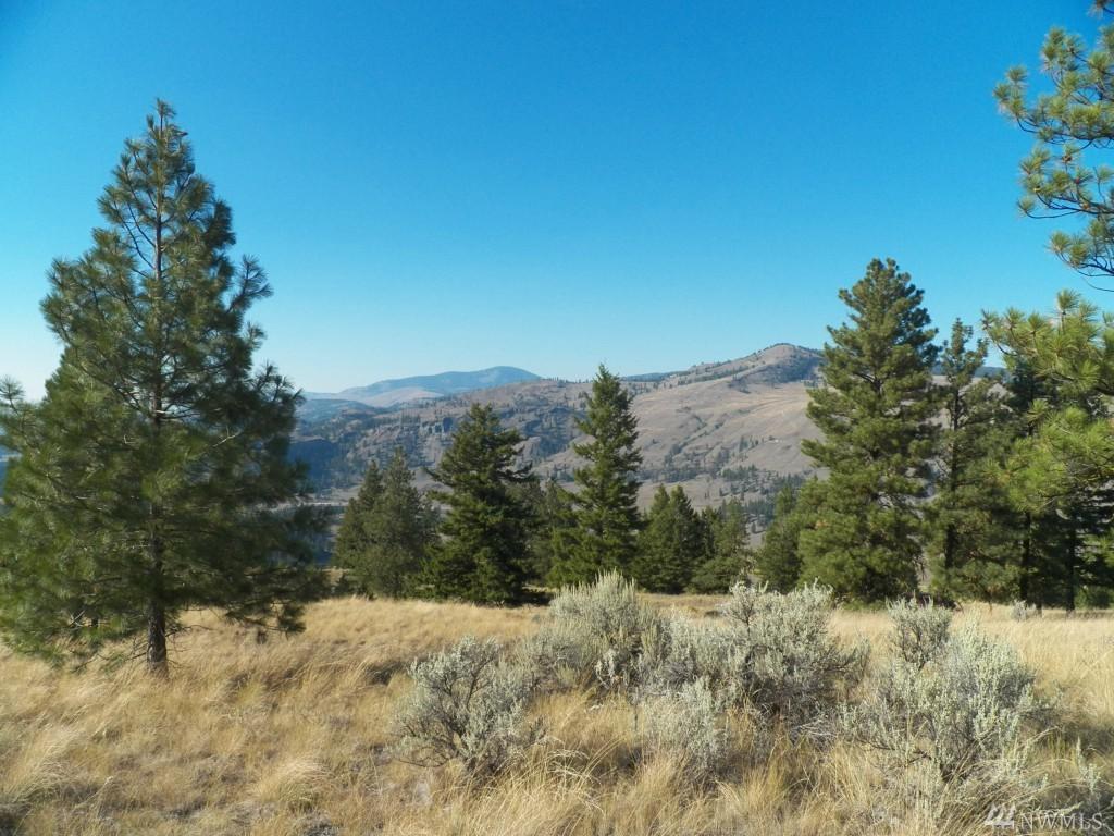 0-Lot 387 Chopaka Wy - Photo 1