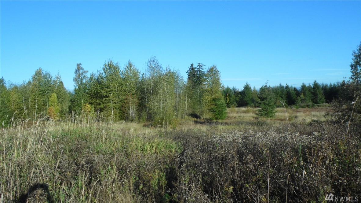 14608 Glacier Ridge Lane - Photo 1