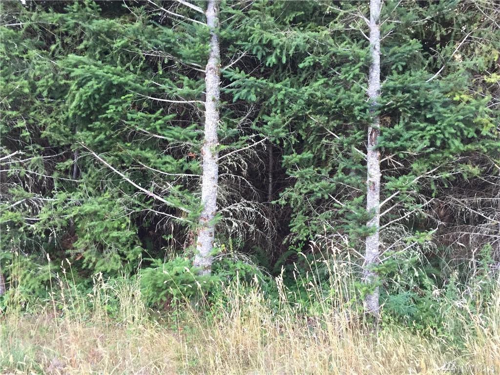 0-Lot 1 Toutle Rd - Photo 1