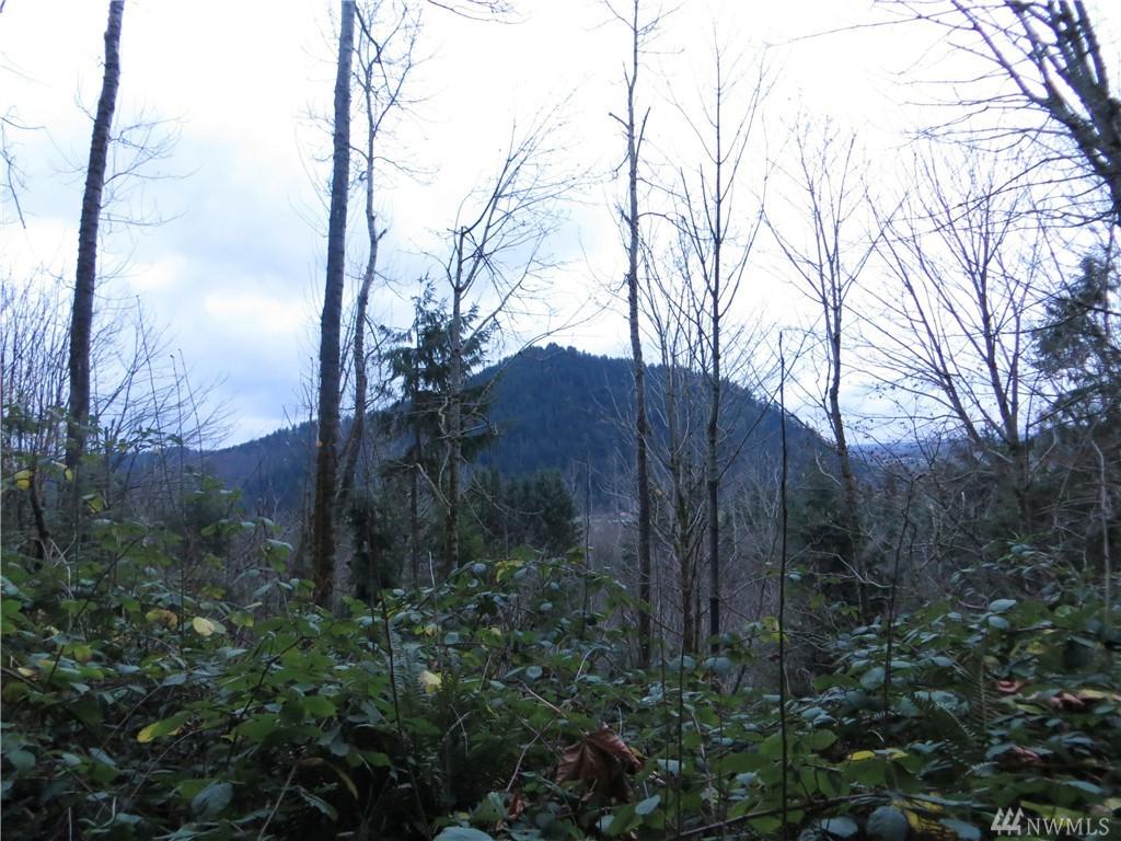 290-XX 464th Street - Photo 1