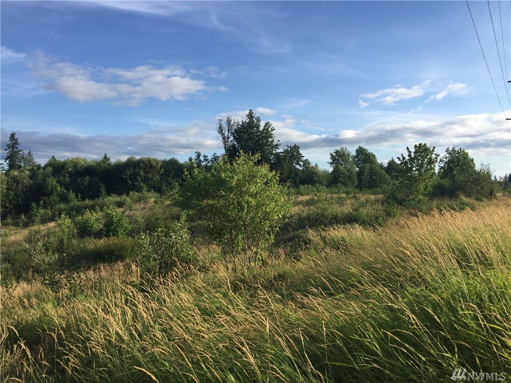 0-Lot 2 Toutle Rd - Photo 1