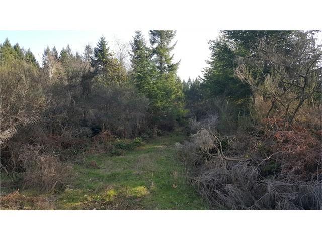 0 South Island Dr - Photo 1