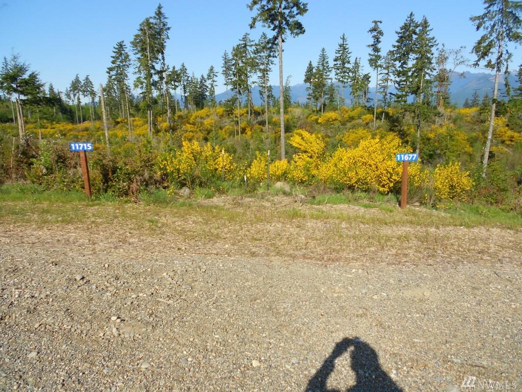 11677 Pioneer Rd - Photo 1