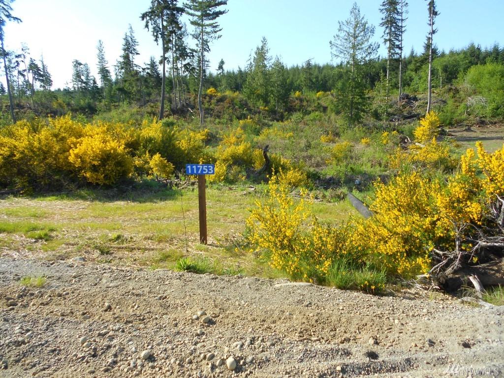 11753 Pioneer Rd - Photo 1
