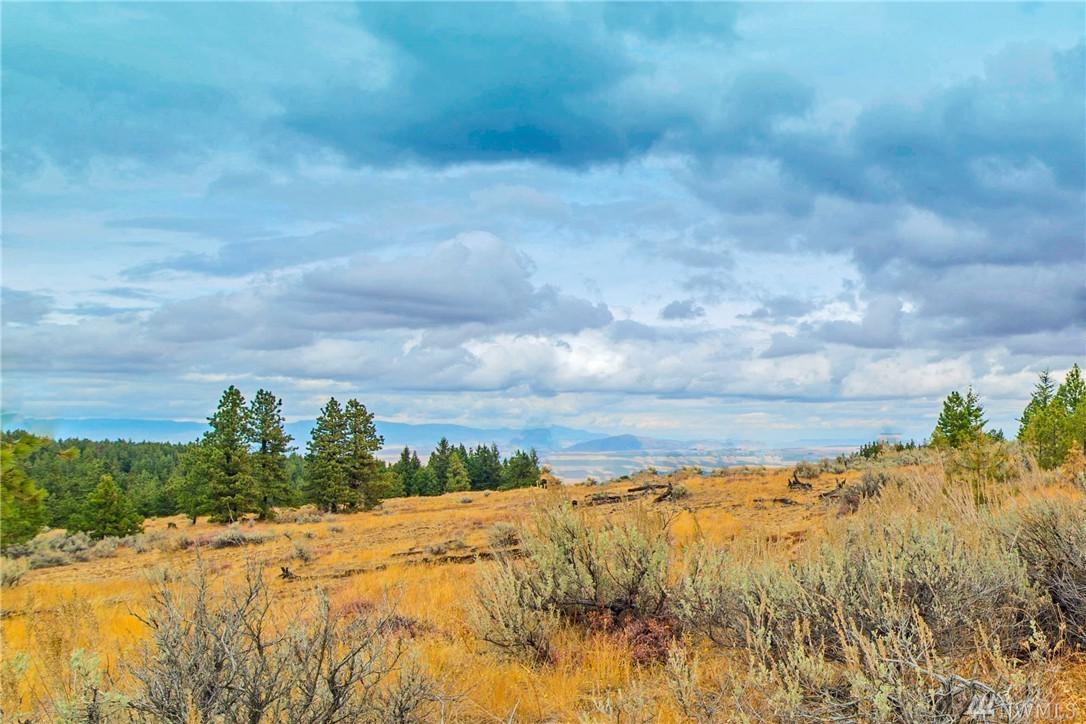 445 Ruud Canyon Rd - Photo 1