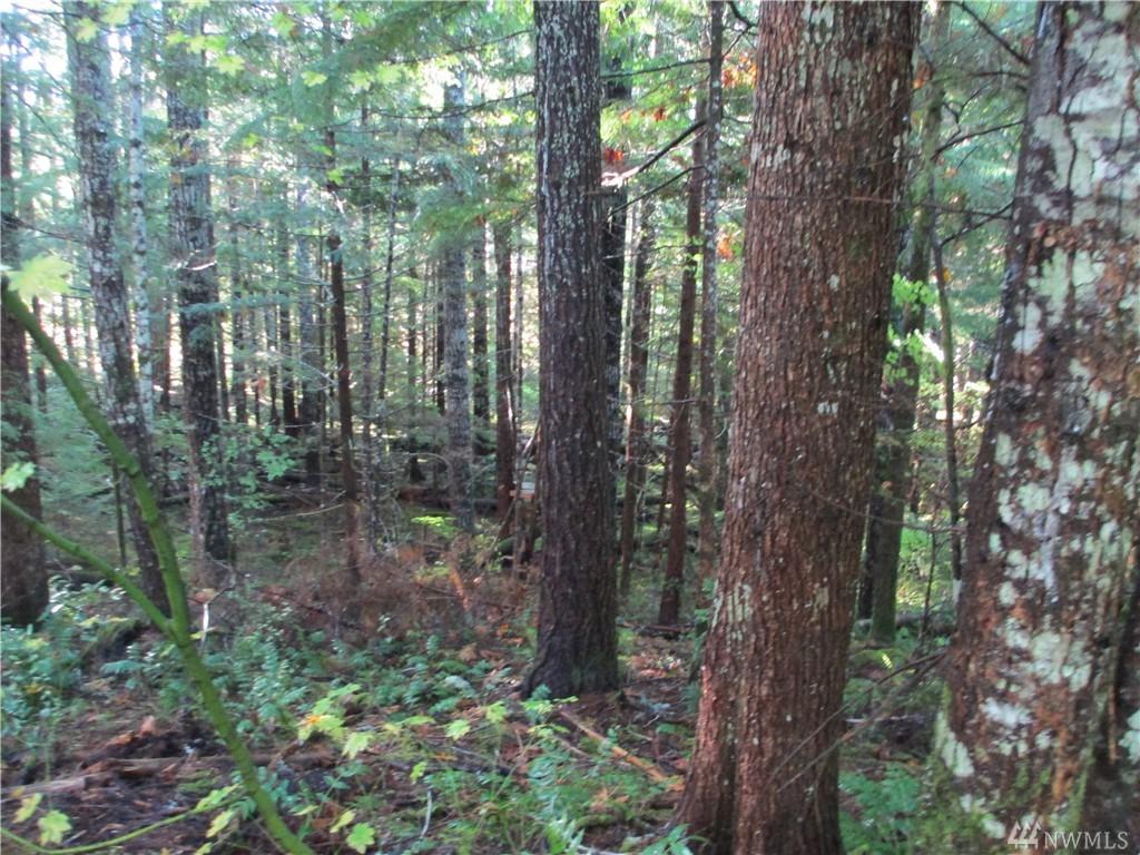 33 Deer Ct - Photo 1