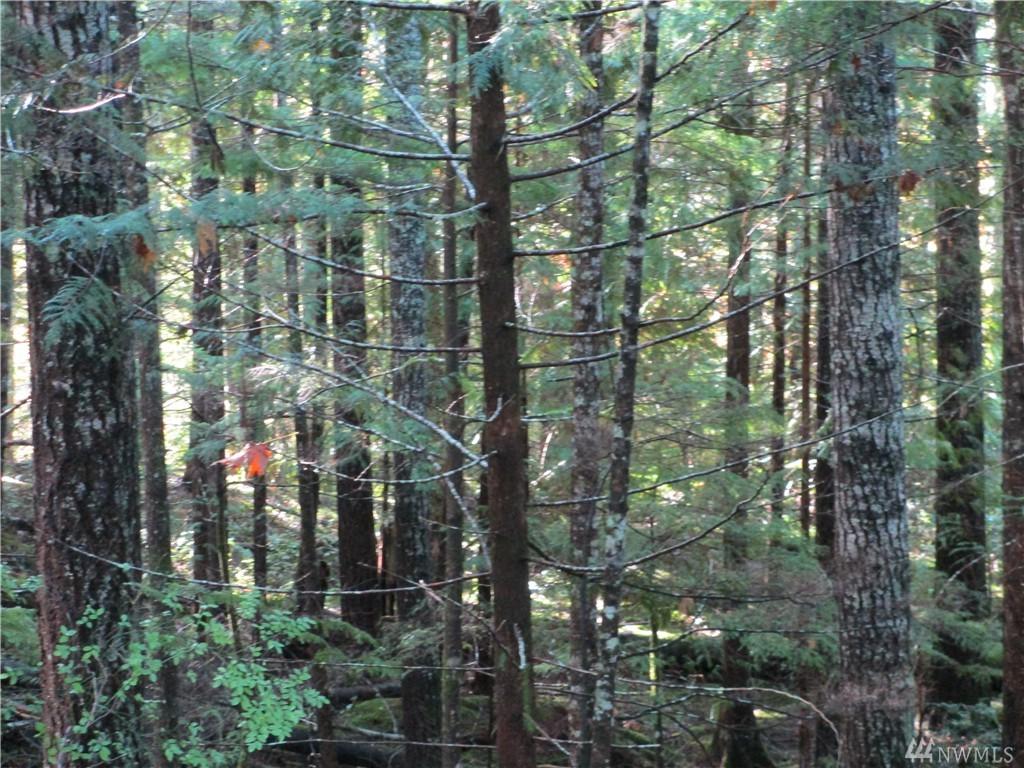 31 Deer Ct - Photo 1