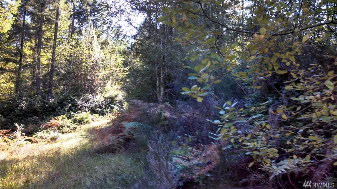 0 128th Ave - Photo 1