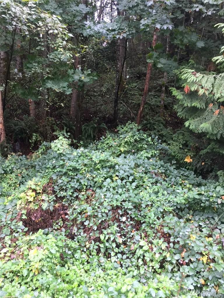 20832 Richmond Rd - Photo 1