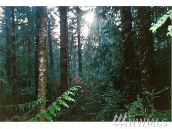 0-xxx Cedar Glen Lane - Photo 1