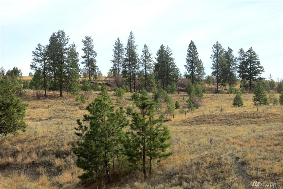 0-TBD Siwash Creek - Photo 1