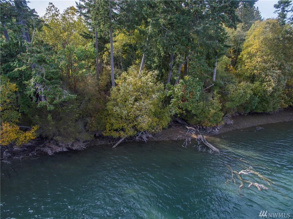 1411 Griffith Point Rd - Photo 1