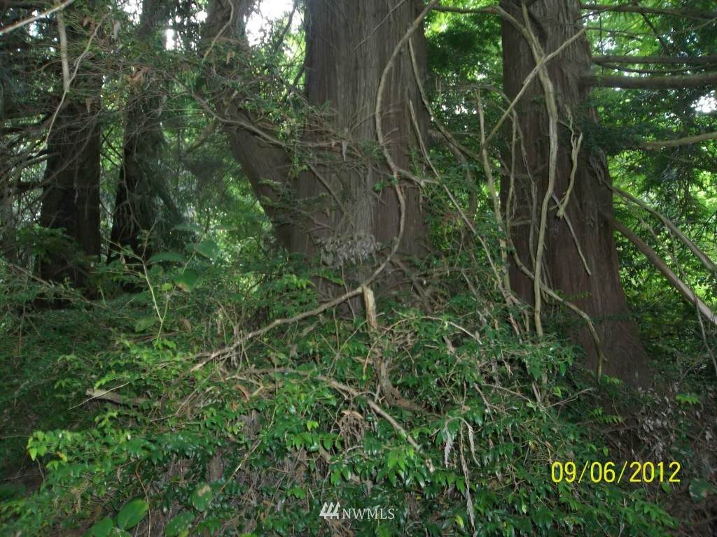 13 Go On Drive - Photo 1