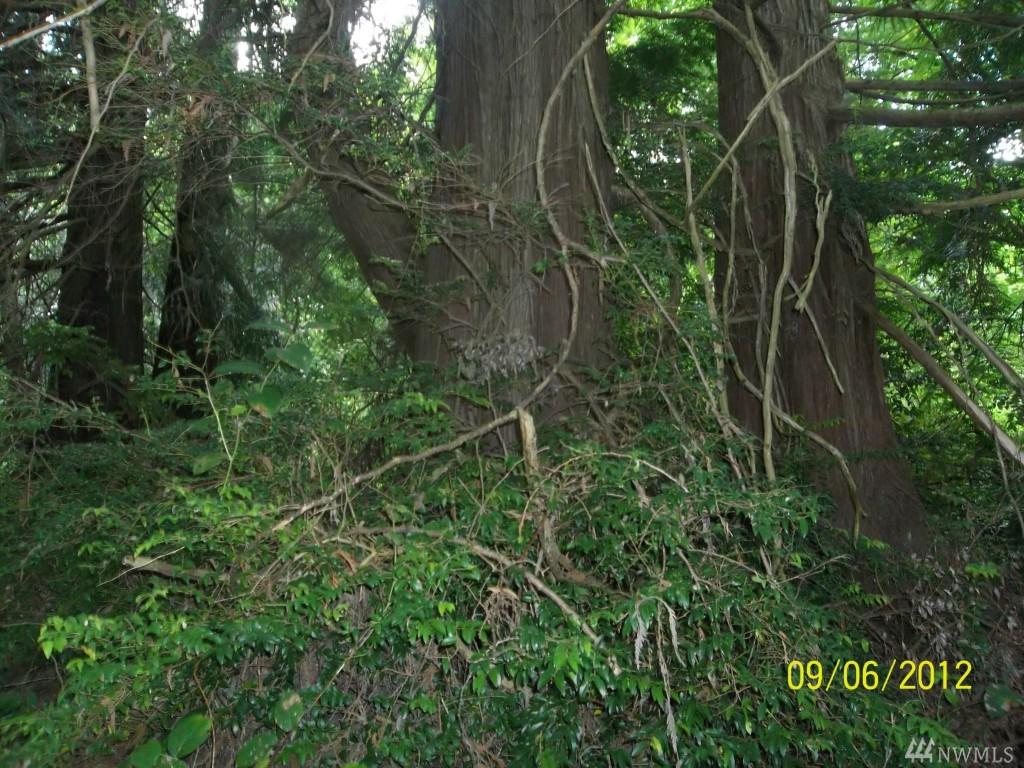 13 Go On Dr - Photo 1