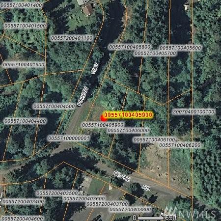 13725 Forest Way Rd - Photo 1