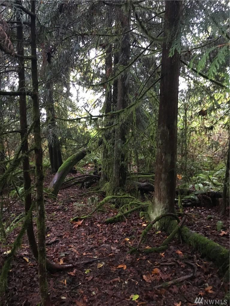 12--15 Montana - Photo 1